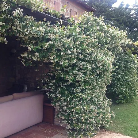 Relais Poggio Del Sogno Lantställe *